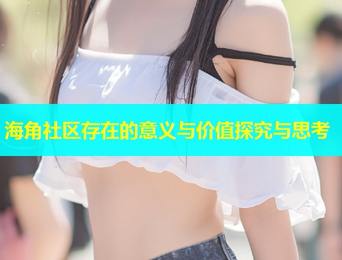 海角社区存在的意义与价值探究与思考