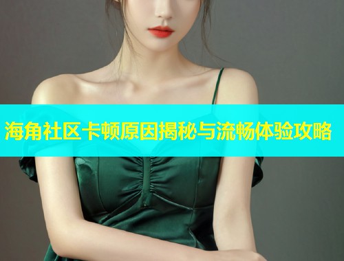 海角社区卡顿原因揭秘与流畅体验攻略