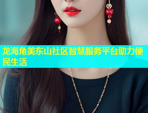龙海角美东山社区智慧服务平台助力便民生活
