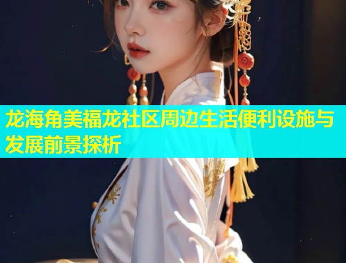 龙海角美福龙社区周边生活便利设施与发展前景探析